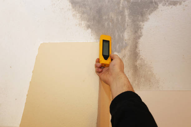 Best Air Quality Testing for Mold Spores  in Batavia, NY