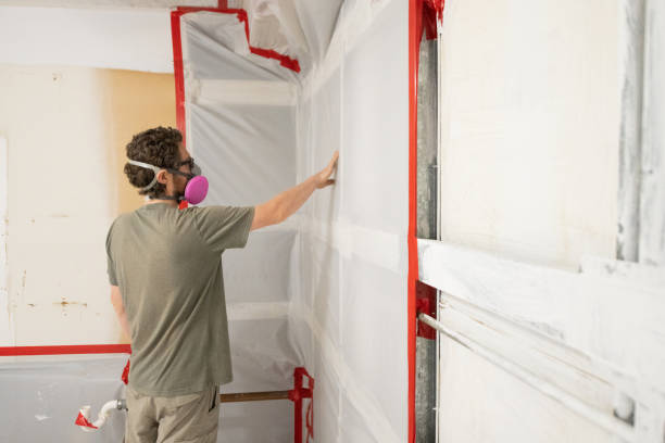 Best Indoor Air Quality Assessment  in Batavia, NY