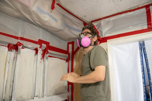 Best Basement Mold Removal  in Batavia, NY