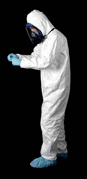 Trusted Batavia, NY Mold Removal Experts