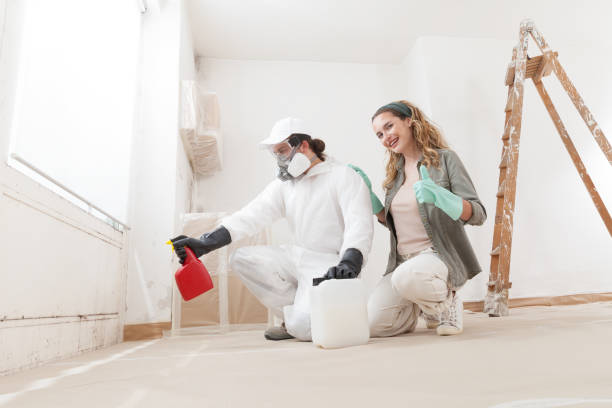 Best Post-Construction Mold Inspection  in Batavia, NY