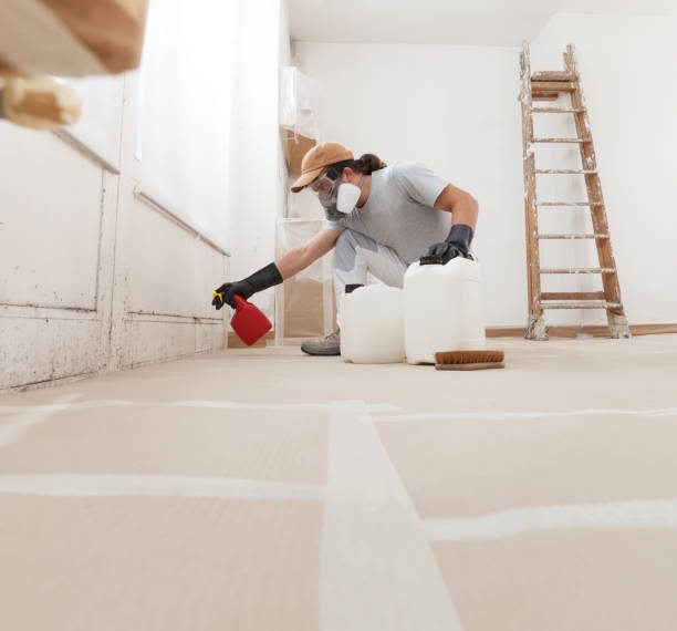 Best Dehumidification Services  in Batavia, NY