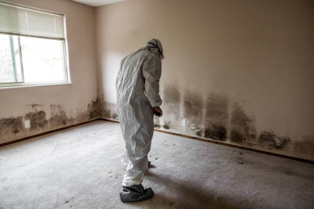 Best Airborne Mold Testing  in Batavia, NY